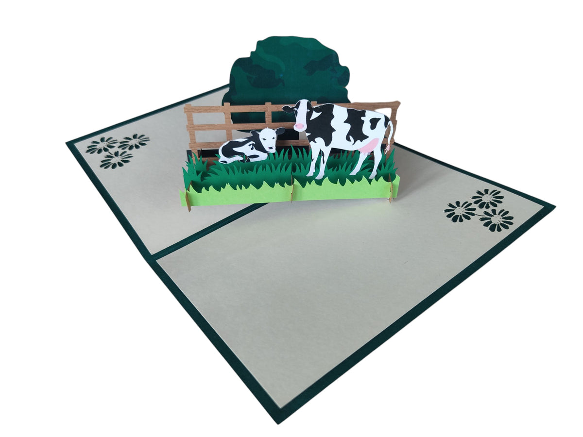 Dairy Cows
