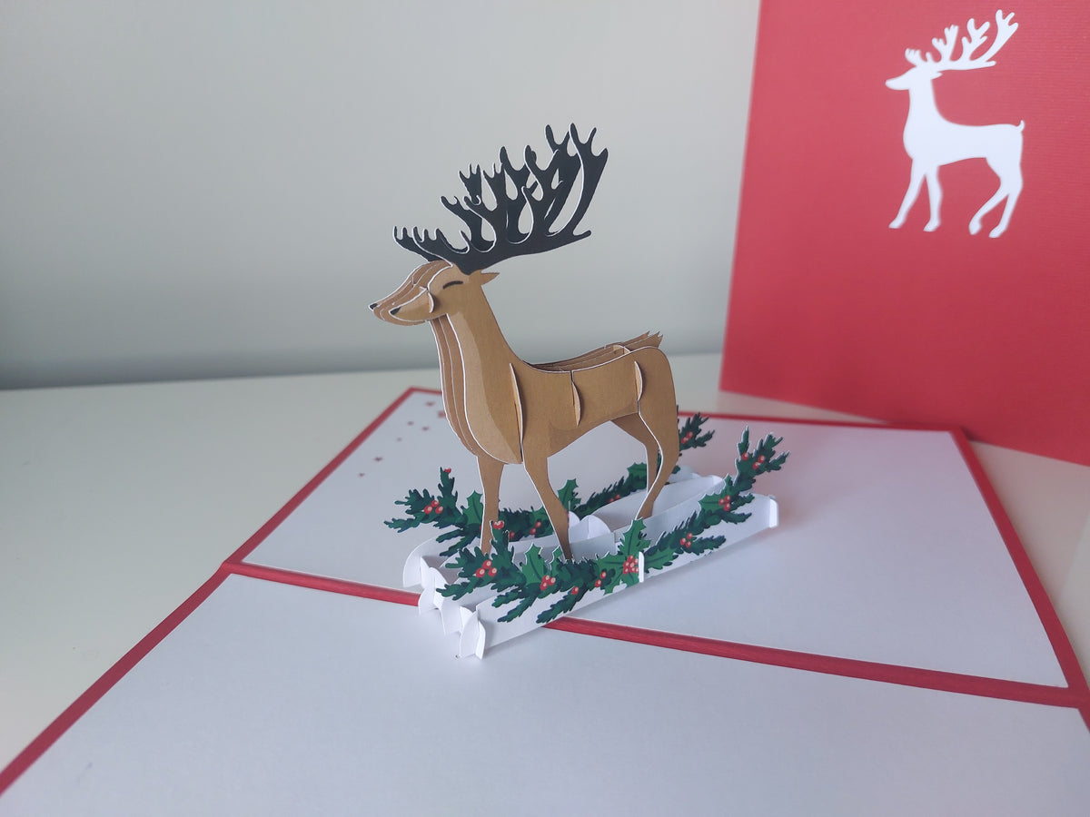 Dasher
