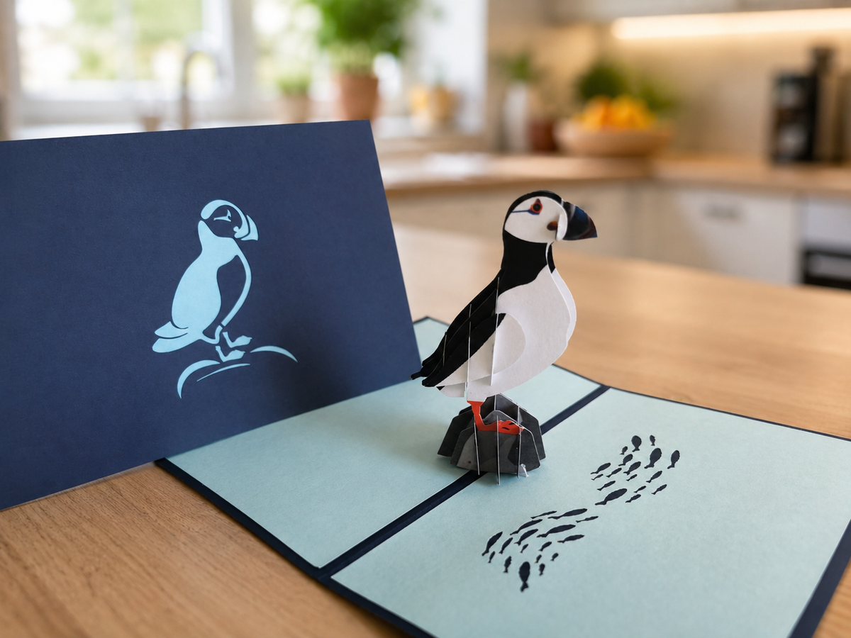 Big Nature Pop Up Card Bundle (10 pack)