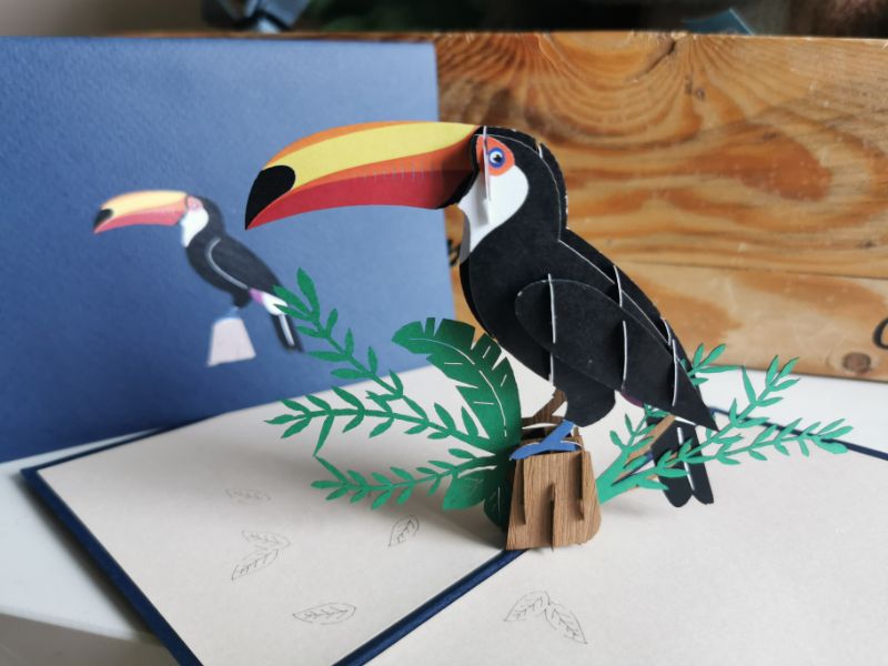 Tropical Toucan