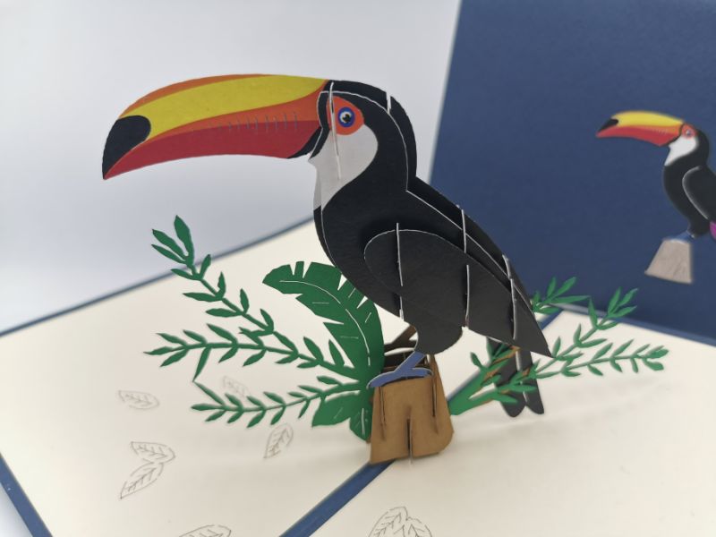 Tropical Toucan