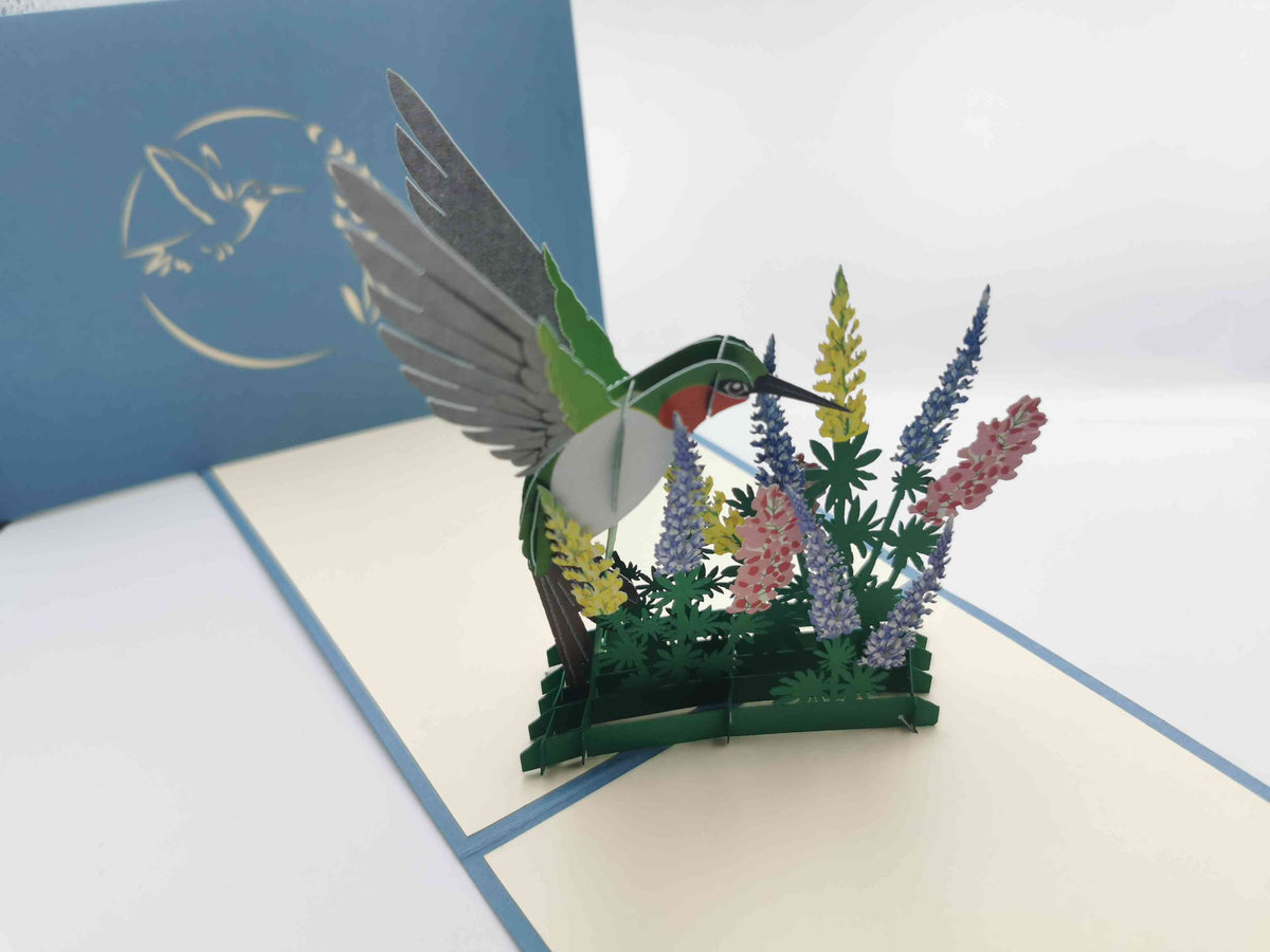 Hummingbird