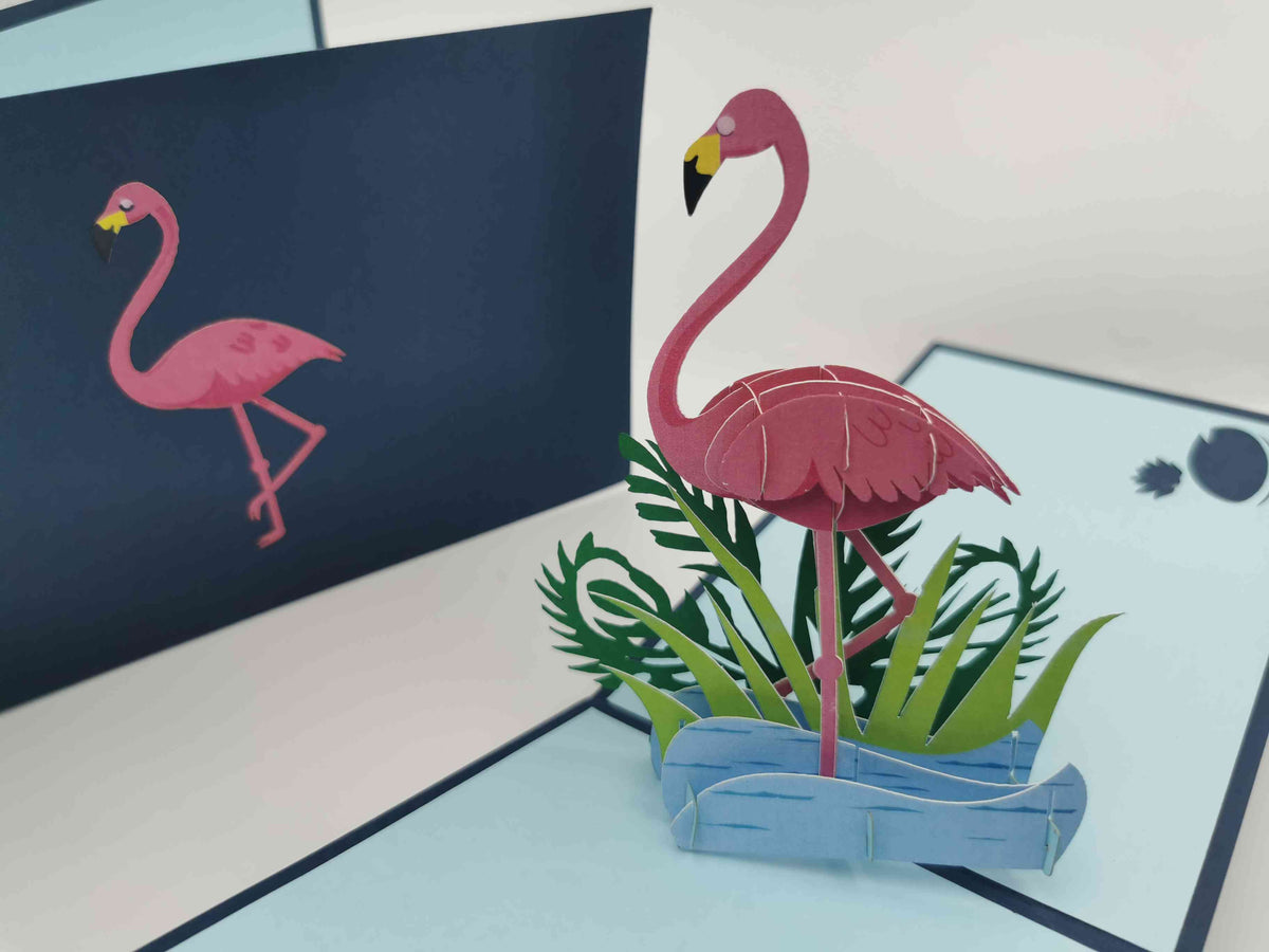 Flamingo