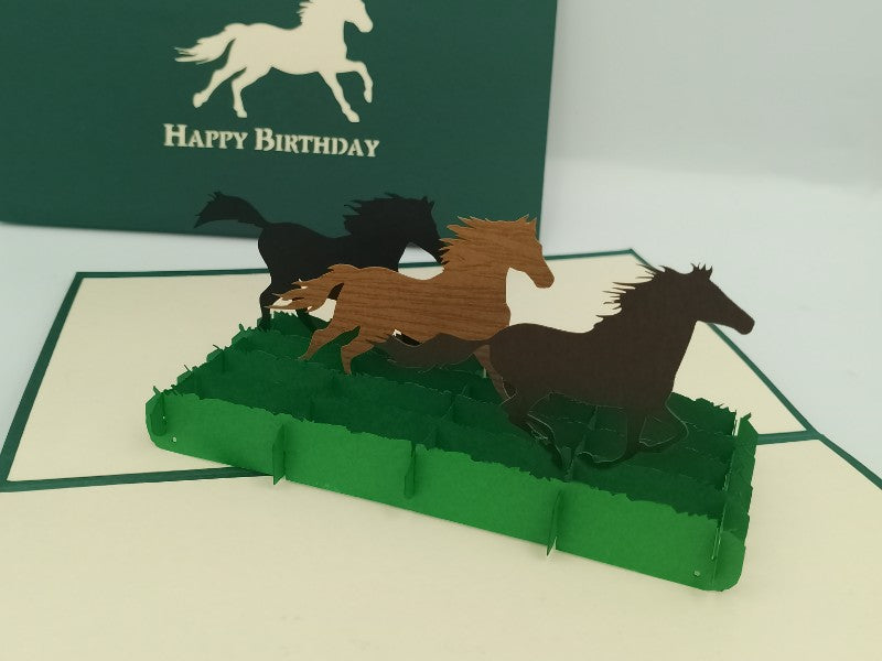 Birthday Wild Horses