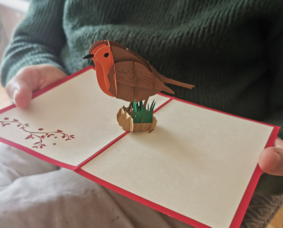 Robin Pop Up Card