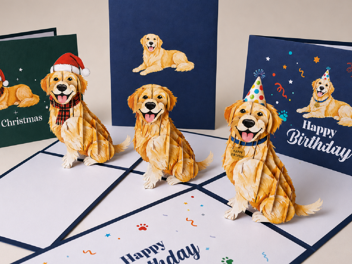 Golden Retriever Mixed Occasion Bundle (6 pack)