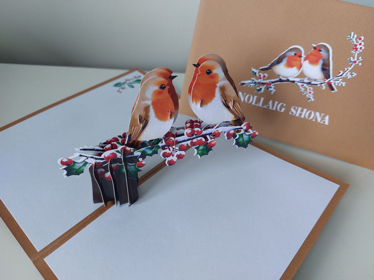 Nollaig Shona Robins