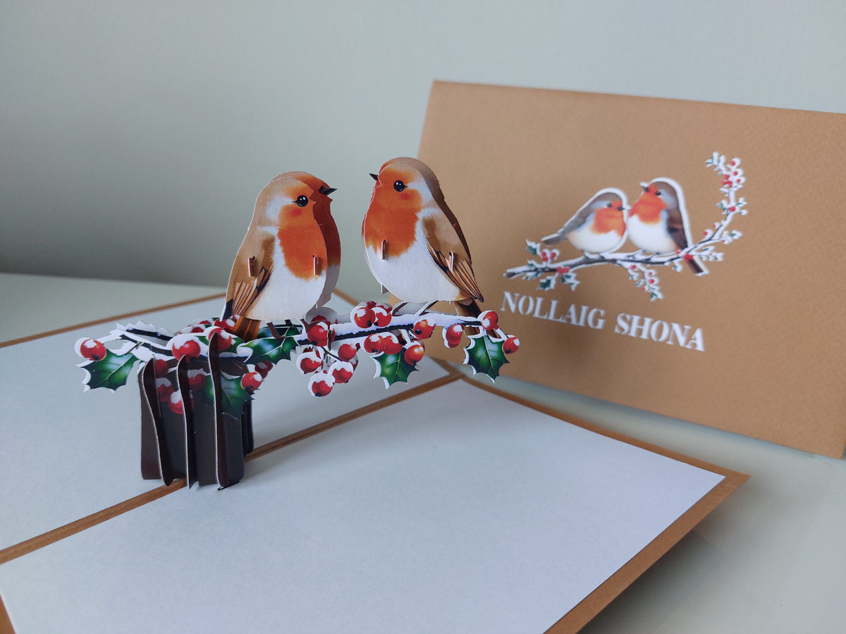 Nollaig Shona Robins