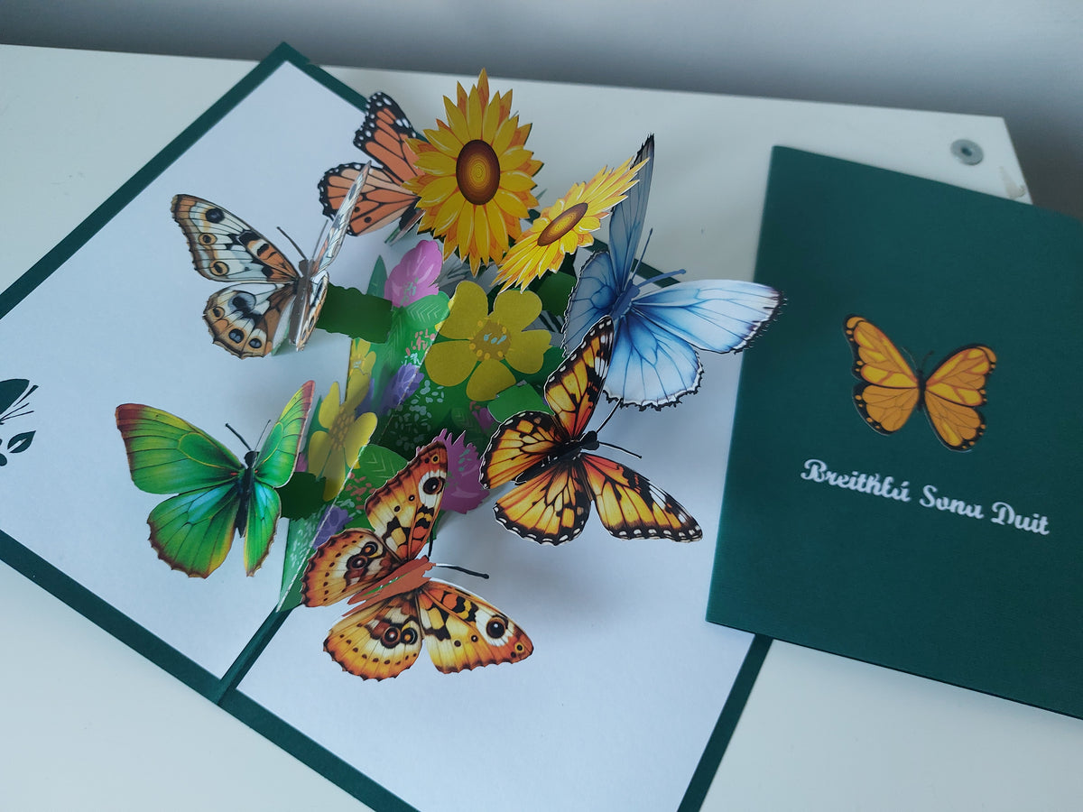 Breithlá Butterfly Garden