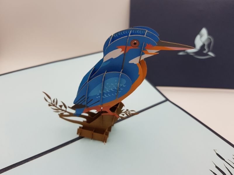 Kingfisher