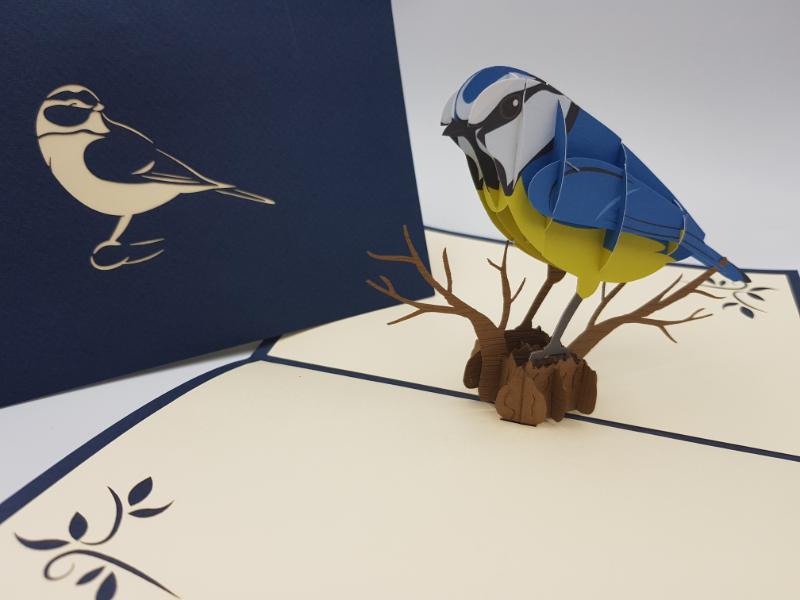 Blue tit