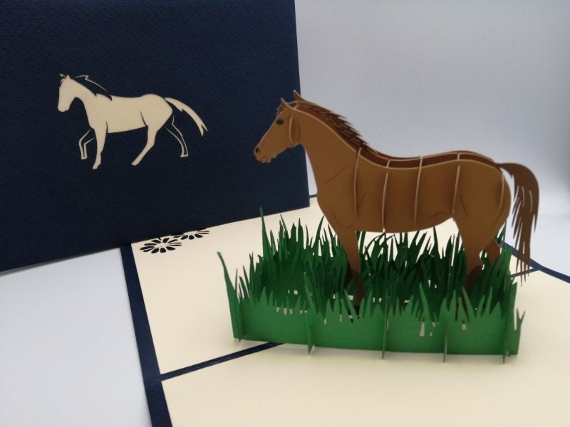 My lovely horse
