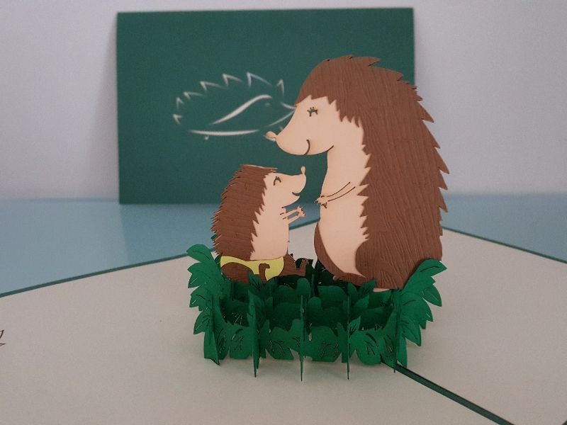 Baby Hedgehog
