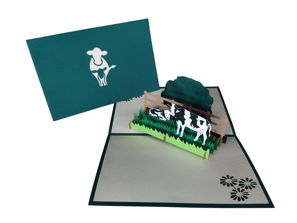 Dairy Cows