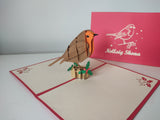 Nollaig Shona Robin