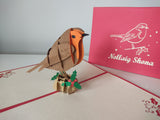 Nollaig Shona Robin