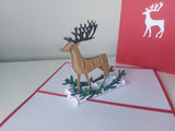 Dasher