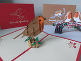 Christmas Robin Bundle (6 Pack)