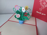 Thank You Gerbera daisies