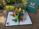 Comhghairdeas Butterfly Garden