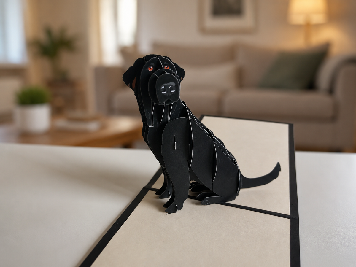 Labrador