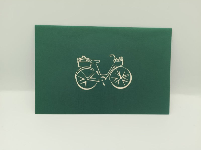 Shamrock Bicycle
