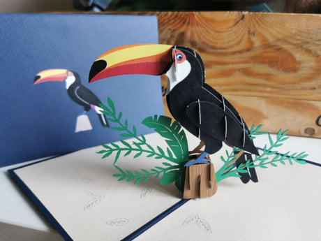 Tropical Toucan