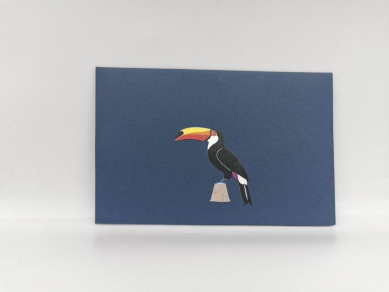 Tropical Toucan