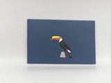 Tropical Toucan