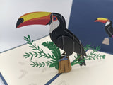 Tropical Toucan