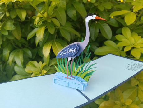 Heron