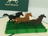 Birthday Wild Horses