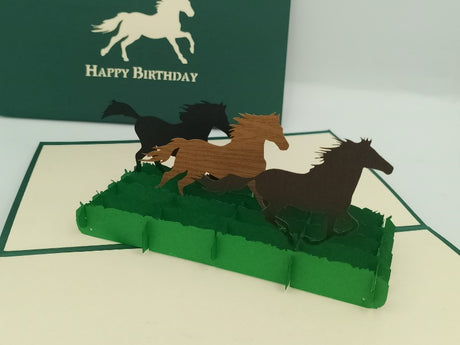 Birthday Wild Horses