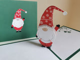 Santa's Gnome