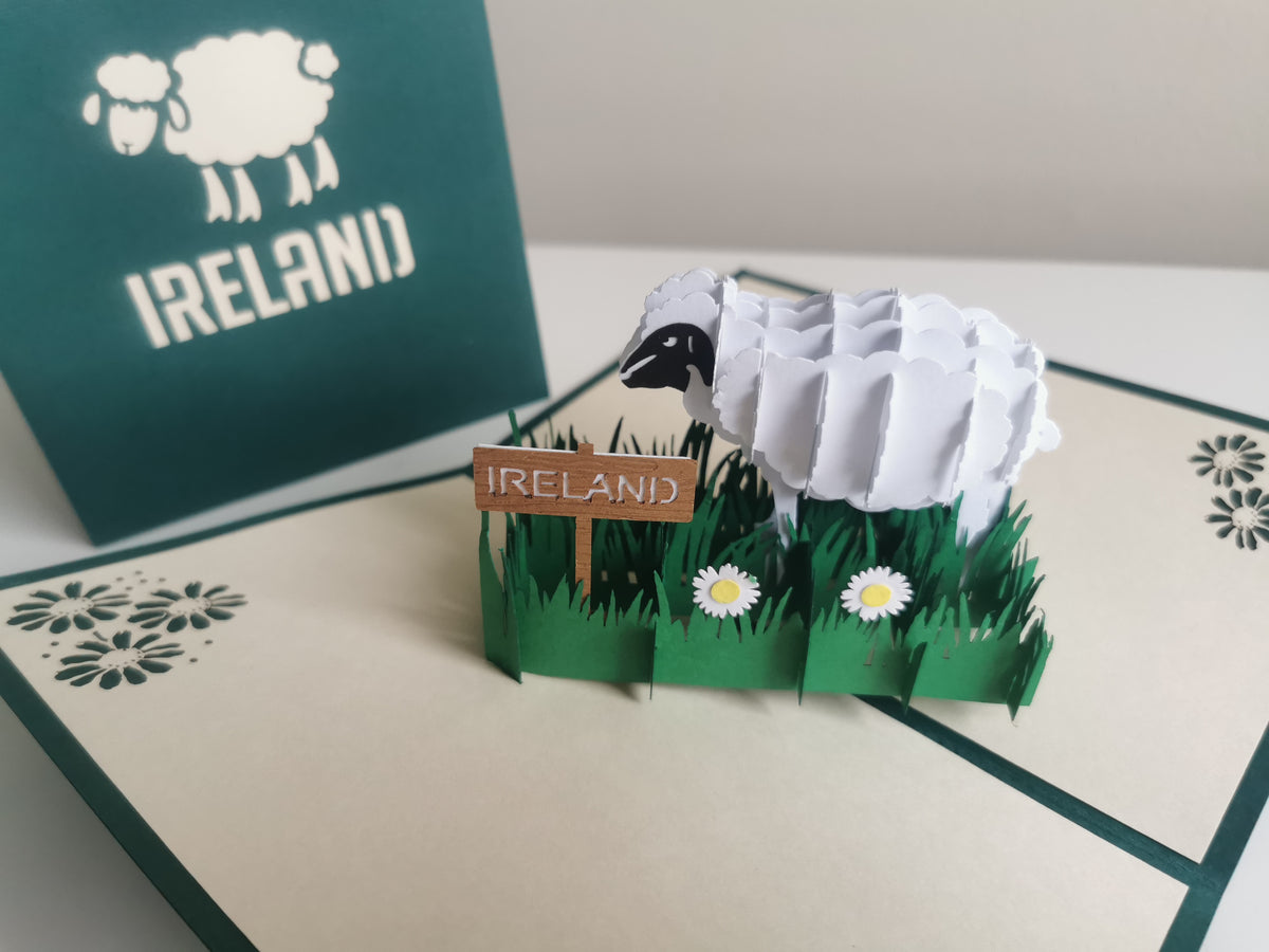 Irish Sheep
