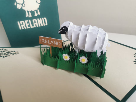 Irish Sheep