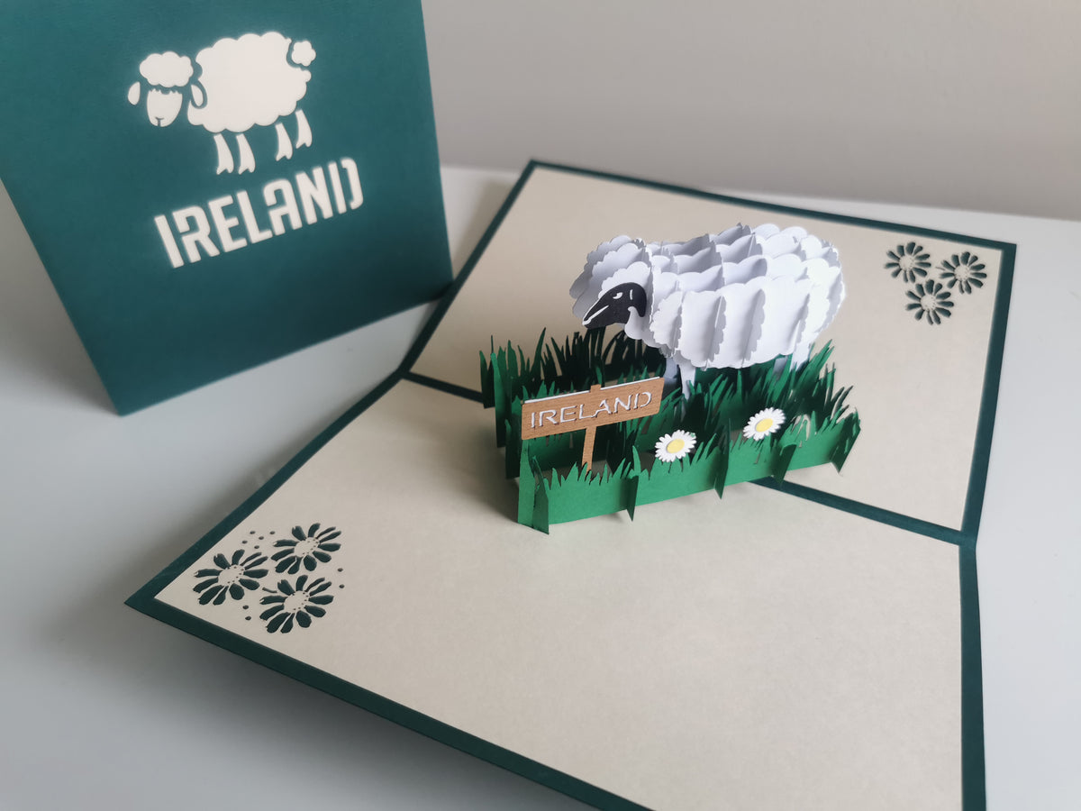 Irish Sheep