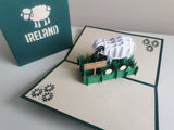 Irish Sheep