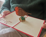 Robin Pop Up Card