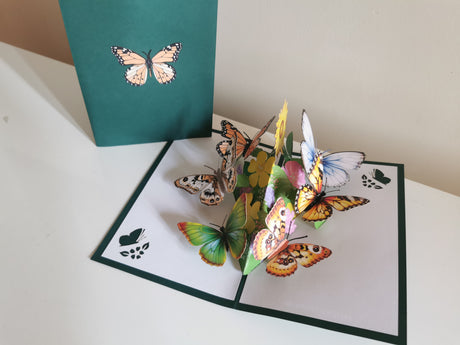 Butterfly Garden