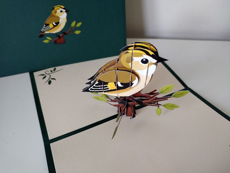 Goldcrest