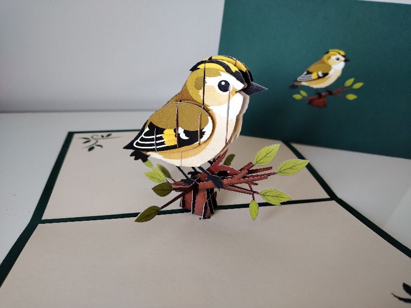 Goldcrest