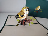 Goldcrest