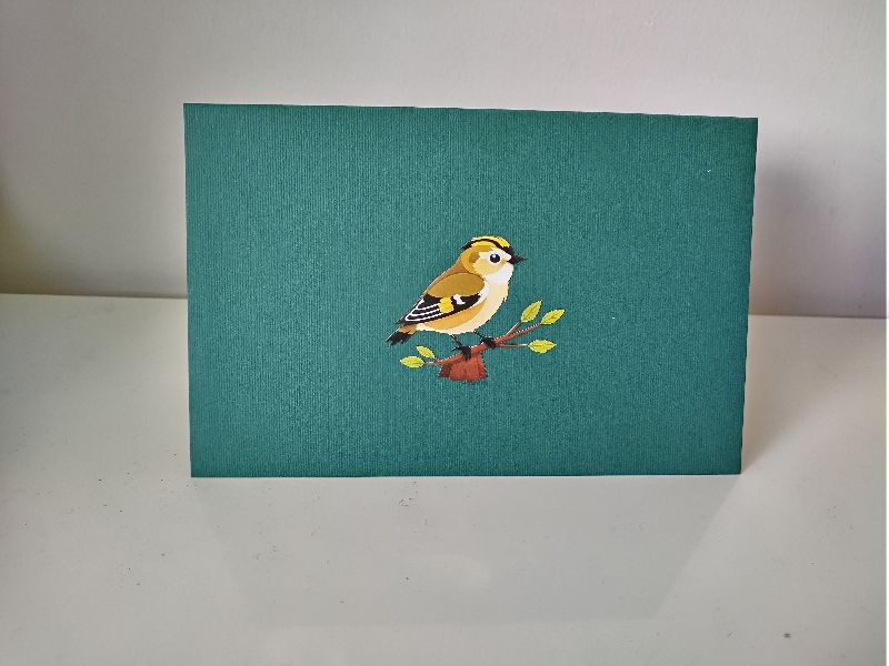 Goldcrest