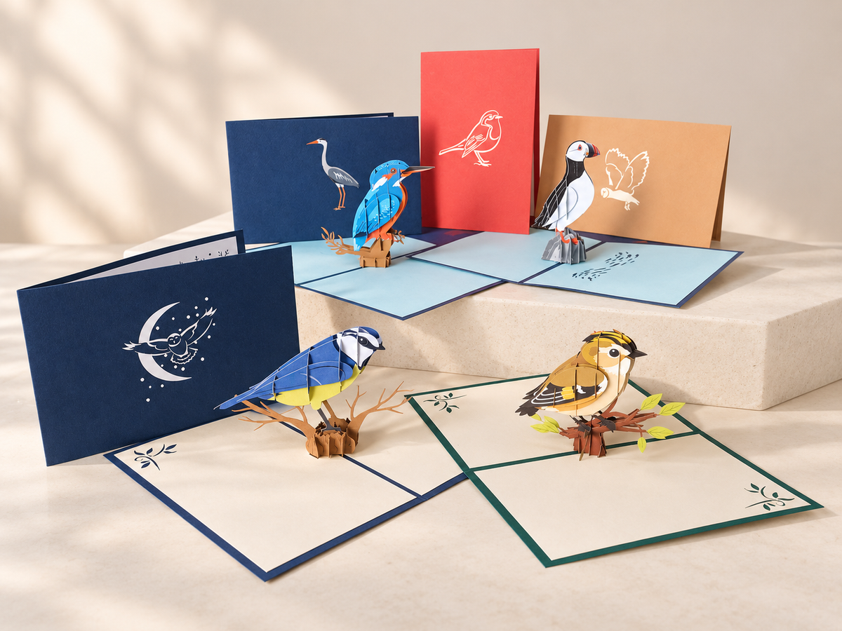 Big Bird Pop Up Card Bundle(10 pack)