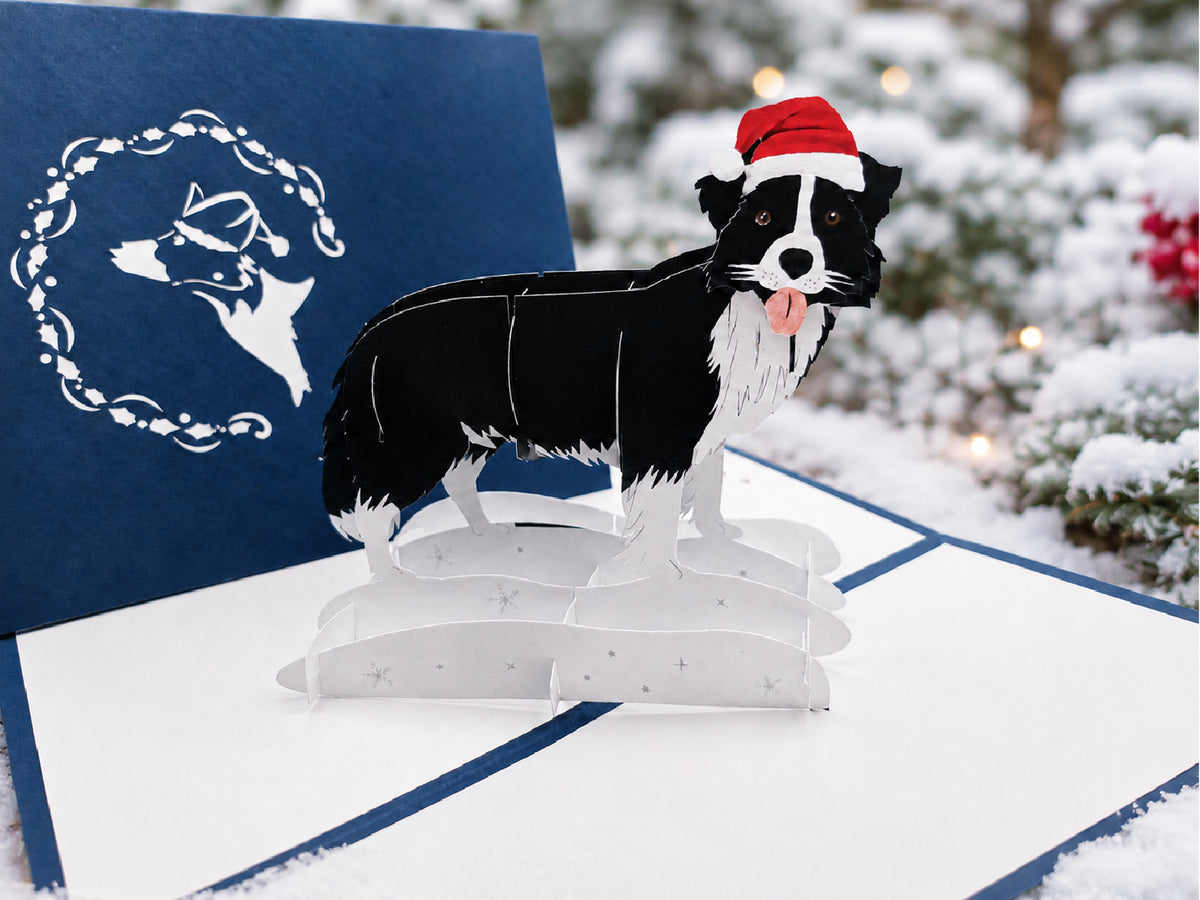 Christmas Border collie