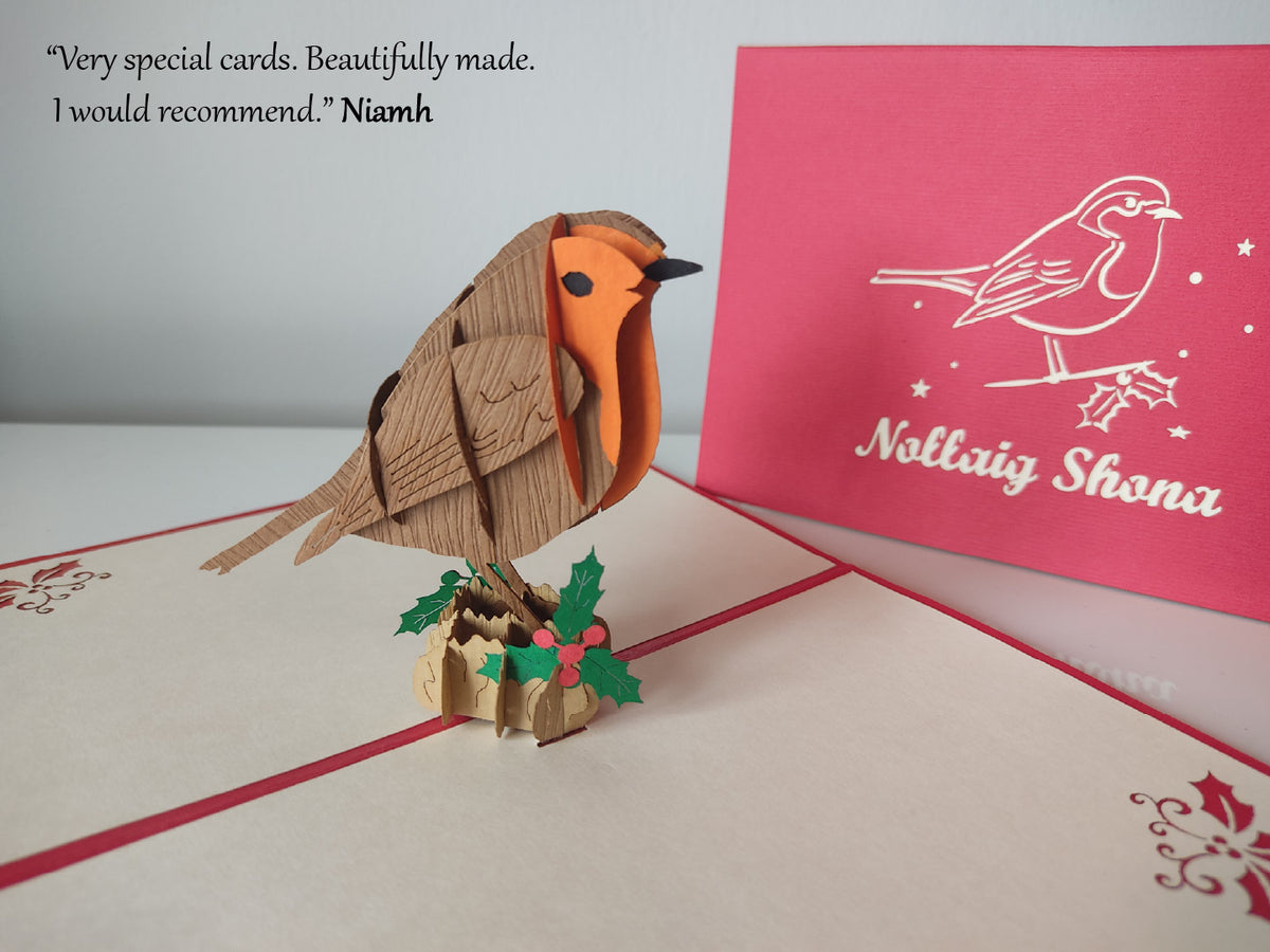 Nollaig Shona Robin