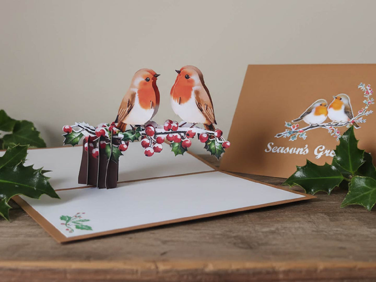 Christmas Robin Bundle (6 Pack)