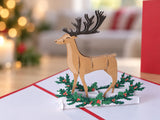 Dasher