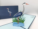 Big Bird Pop Up Card Bundle(10 pack)
